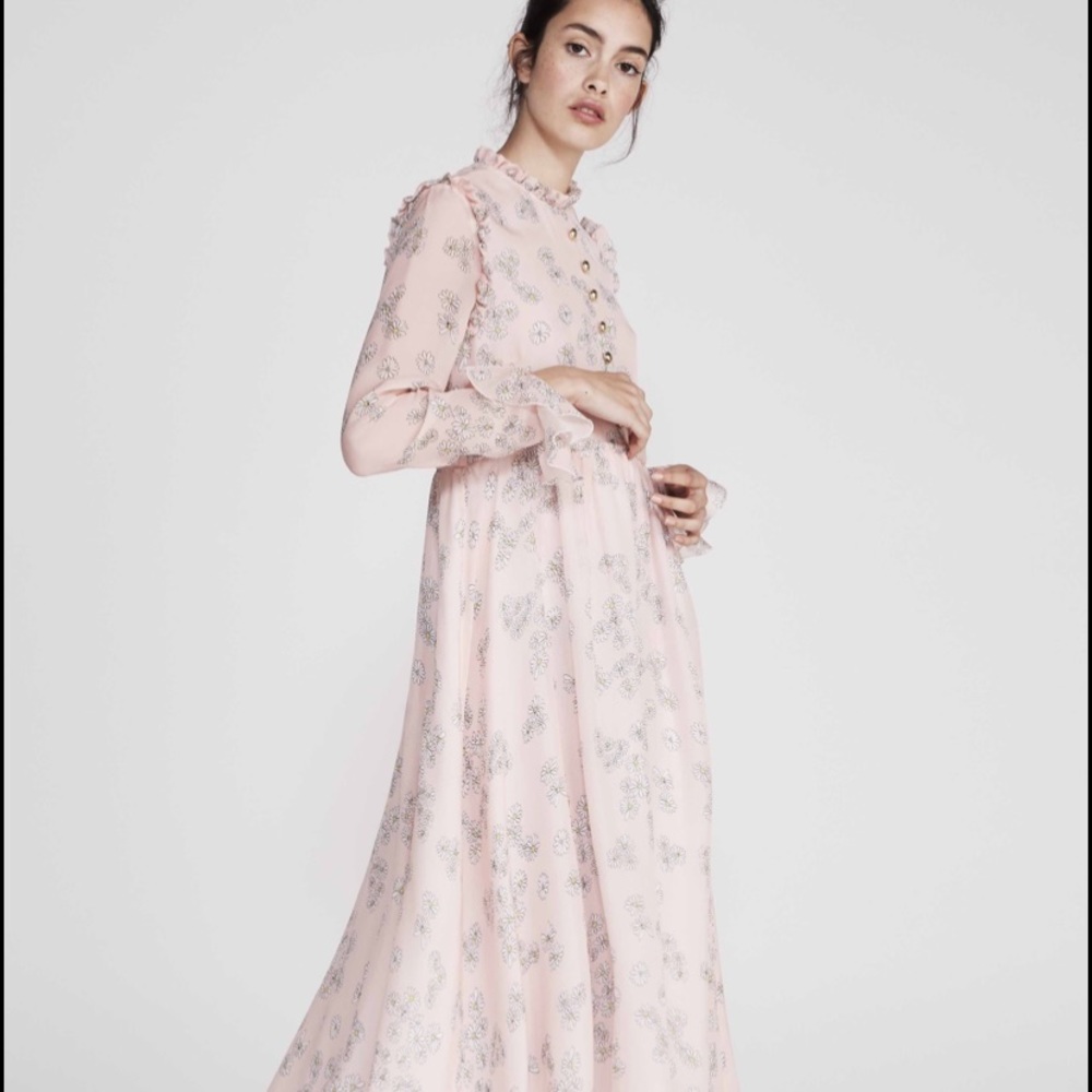 Macgraw pink sheer floral pink maxi dress - Picture 5 of 14
